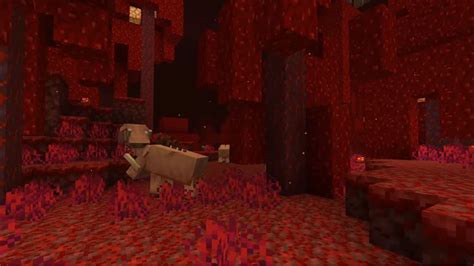 Minecraft Nether Update Will Add Multiple Biomes And Piglin Beast Mobs