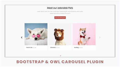 Design An Image Media Slider Using Bootstrap Owl Carousel Plugin
