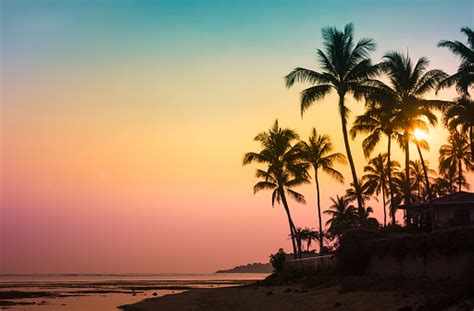 Tropical Island Sunset Stock Photo Download Image Now Istock