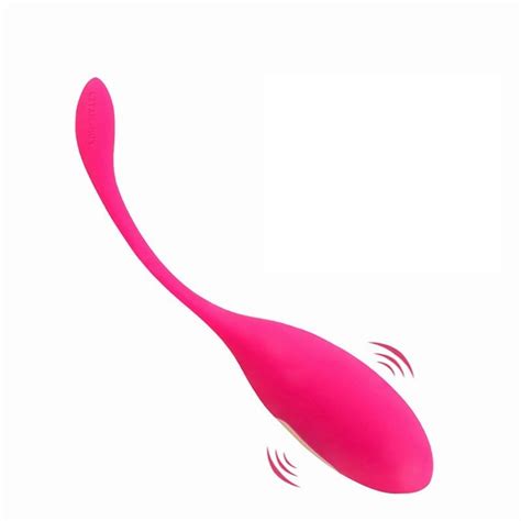 Function Remote Control Vibrator Egg Wireless Stimulator Magnetic Rechargeable Kegel Ball G