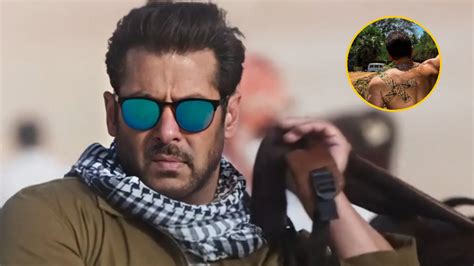 Tiger Star Salman Khan Shoulder Injured