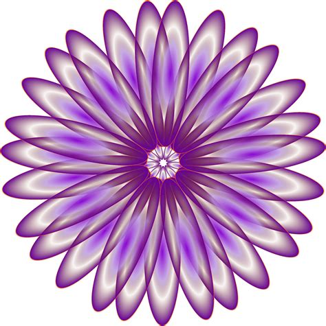 Clipart Purple Daisy