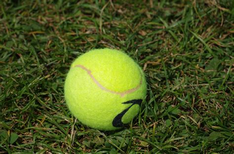 Free Images Grass Plant Lawn Game Green Sports Equipment Tennis