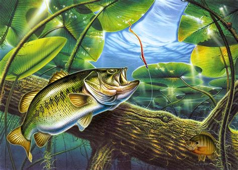 49 Bass Fishing Pictures Wallpaper