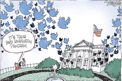 Political Cartoon Angry White House Birds