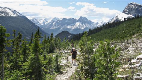 Canadian Rockies Hiking Banff Jasper And More Rei Adventures