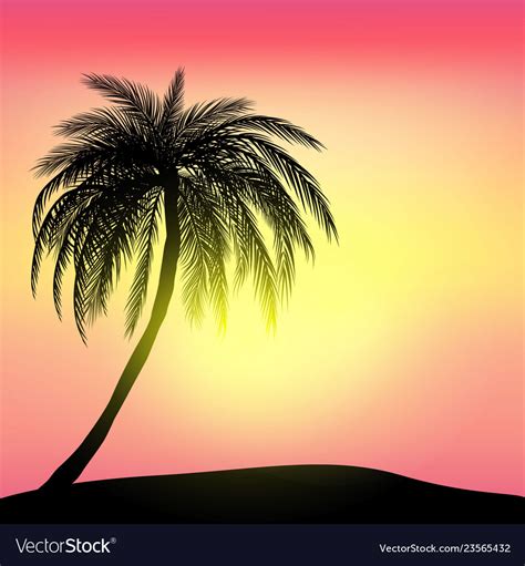 Sunset And Tropical Palm Tree With Colorful Vector Image