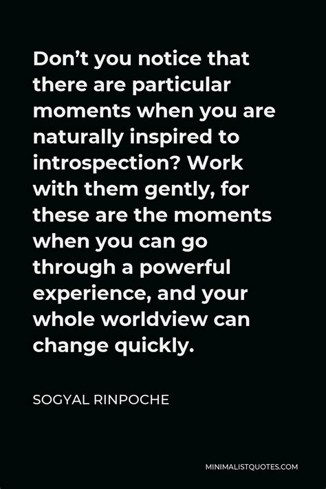 Sogyal Rinpoche Quote Dont You Notice That There Are Particular