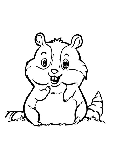 Hamster De Desenho Animado Comendo Para Colorir Imprimir E Desenhar