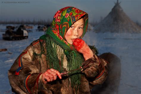 Eurasia Nenets Girl Eating Raw Reindeer Meat Siberia Russia People
