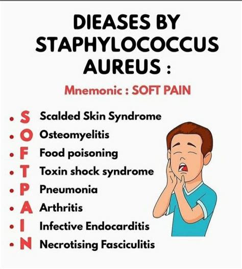 Pin By Eman Salah On Medical Mnemonics Medical Mnemonics Mnemonics