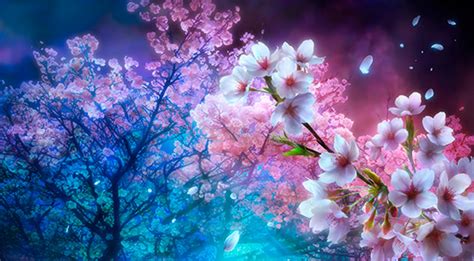 Download Cherry Blossoms By Sethc83 Anime Cherry Blossom Wallpaper
