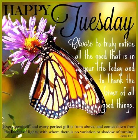 Happy Tuesday Notice All The Good Pictures Photos And