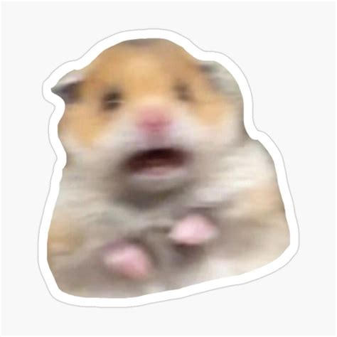Blurry Hamster Meme Sticker For Sale By Devin Moore Weird Stickers