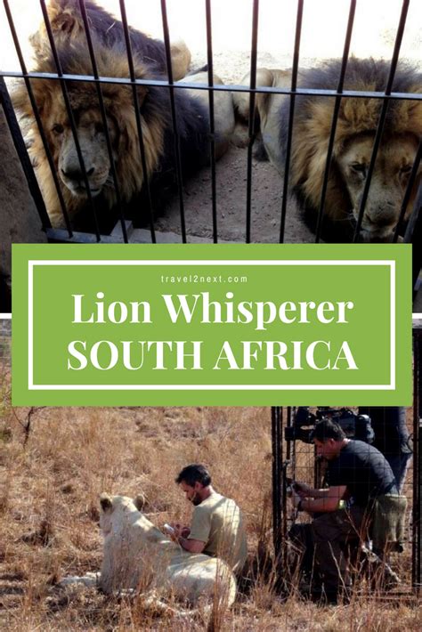 The Lion Whisperer South Africa Travel Africa Travel Guide Travel Fun