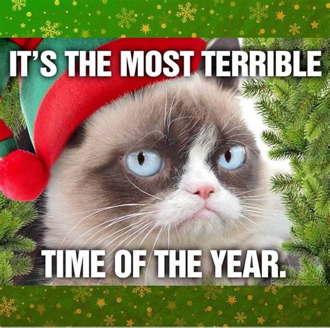 Pin By Michelle Sullivan On Grumpy Cat Grumpy Cat Christmas Funny