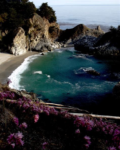 Big Sur Beach Beach At Big Sur With Naked Ladies Flowers Michael Edminster Flickr