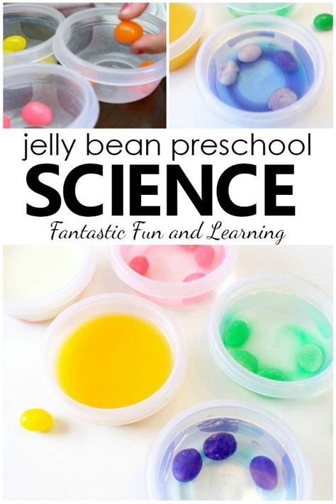 Jelly Bean Science Experiment Blogum In 2020 Jelly Bean Science