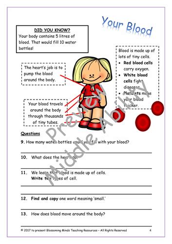 Ks1 Sats Reading The Human Body Comprehension Teaching Resources