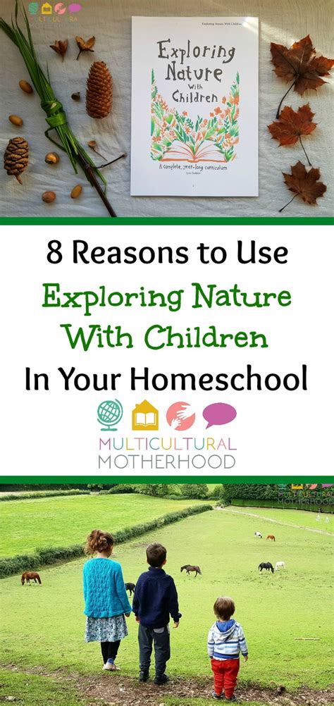 8 Reasons To Use Exploring Nature With Children In Your Homeschool