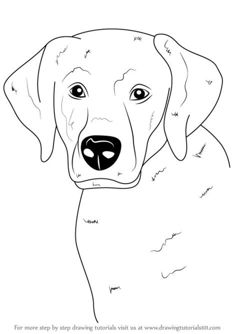 But do you know what is cuter? 30 Ways to Draw Dogs | Dog face drawing, Dog drawing tutorial, Animal drawings