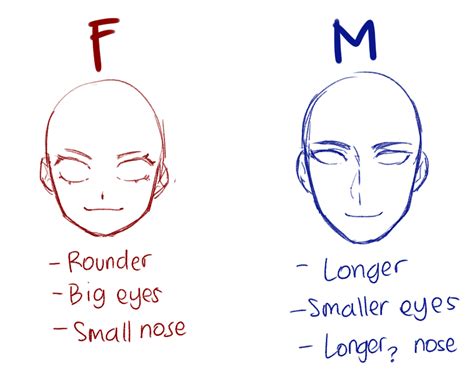 Face Anatomy Drawing Anime Ruling Weblogs Efecto