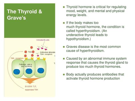 Ppt Graves And Thyroid Disease The Journey Powerpoint Presentation