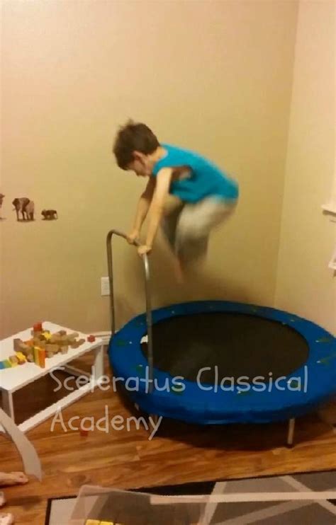 Sceleratus Classical Academy Homeschooling And Overexcitabilities