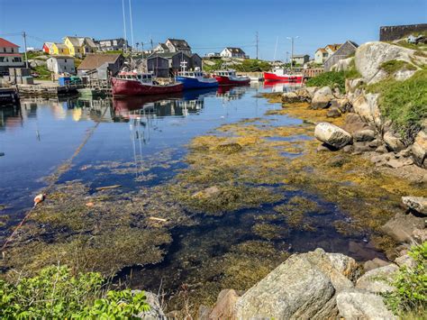 • • • nova scotia premier defends extensive changes proposed for biodiversity act (atlantic.ctvnews.ca). Peggy's Cove, Nova Scotia: More than just a lighthouse ...