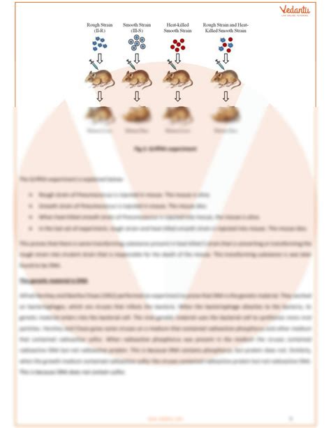 Solution Molecular Basis Of Inheritance Class 12 Notes Cbse Biology