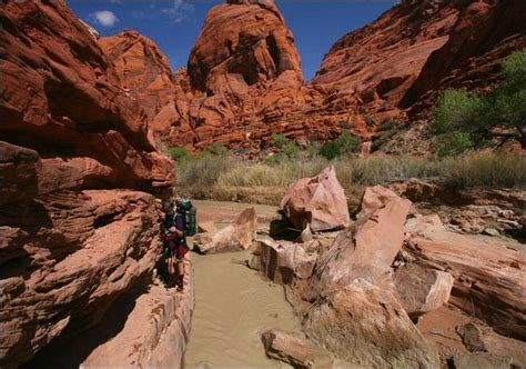 Hiking The Southwests Magical Paria Canyon Is An Artfully Arduous