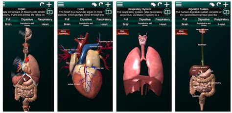 Top 30 Free And Essential Anatomy And Radio Anatomy Android Apps For