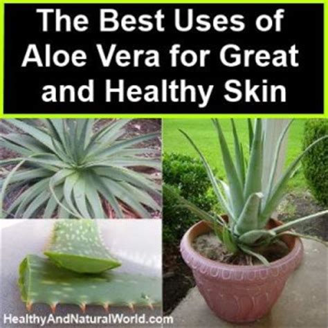 Ready to put these aloe vera skin benefits to the test? Amazing Benefits and Uses Of Aloe Vera For Skin