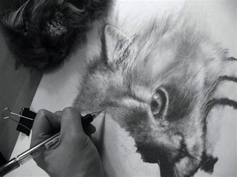 Amazing Realistic Pencil Drawings By Paul Long Churchmag