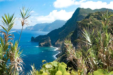 Madeira Urlaub Günstig Buchen Dertour