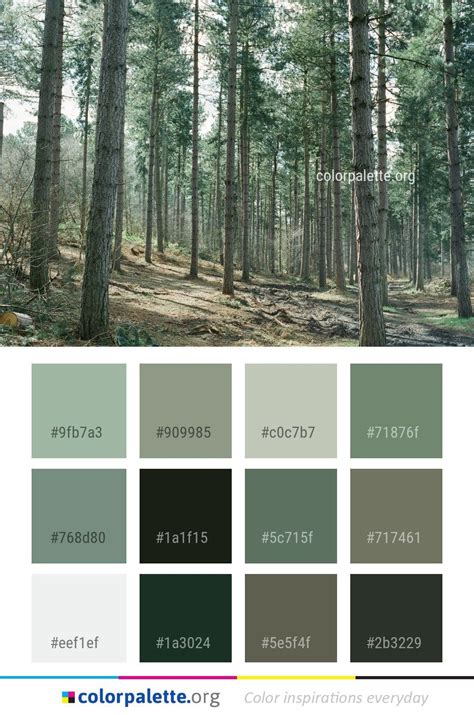Spruce Forest In 2021 Forest Color Green Colour Palette Color Palette