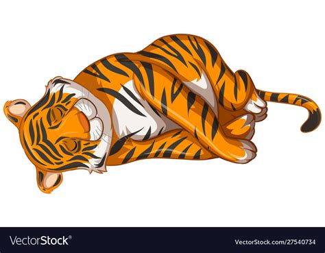 Tiger Sleeping On White Background Royalty Free Vector Image