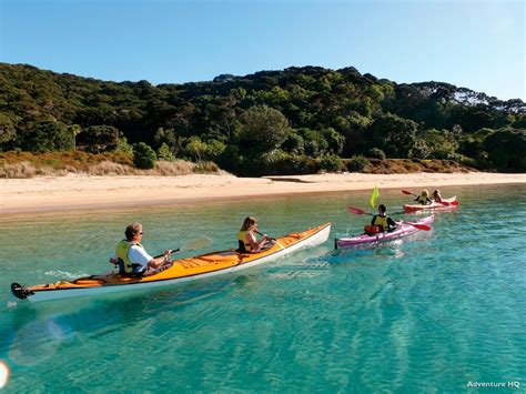 20 Things To Do In Paihia A Comprehensive Guide To The Jewel Of The