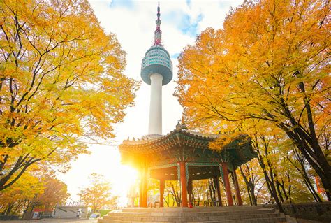 Seoul Travel Top Attractions And Things To Do In Itaewon