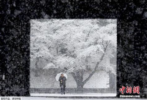 日本東京降罕見大雪 市中心積雪達21厘米 每日頭條