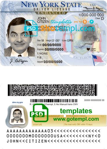 Usa New York Driving License Template In Psd Format