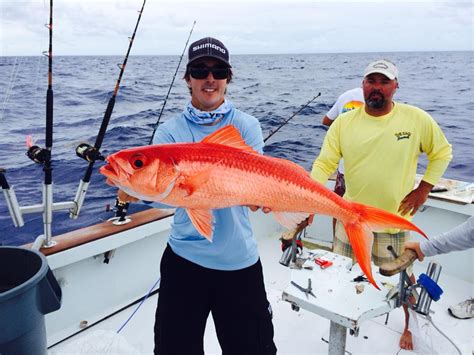 Florida Keys Offshore Fishing Report June 03 2015 Fishtrackcom