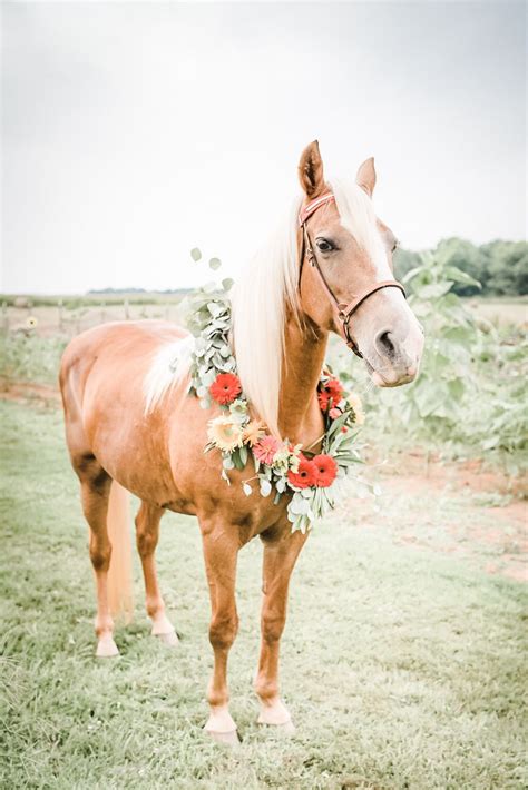 Pin On Horses And Flowers