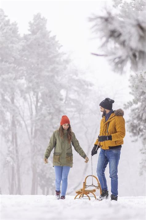 Couple Walking And Pulling Sled On Snowy Winter Day Stock Photo Image