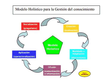 Conceito e significado de holístico: PARADIGMAS DE LA INVESTIGACION SOCIAL: MODELO HOLISTICO ...