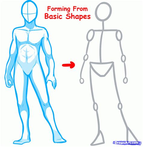 How To Draw Human Body Step By Step For Beginners ~ Shapes Body Draw
