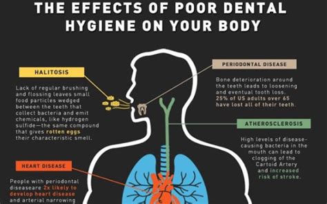 Are Heart Disease And Diabetes Related To Oral Health