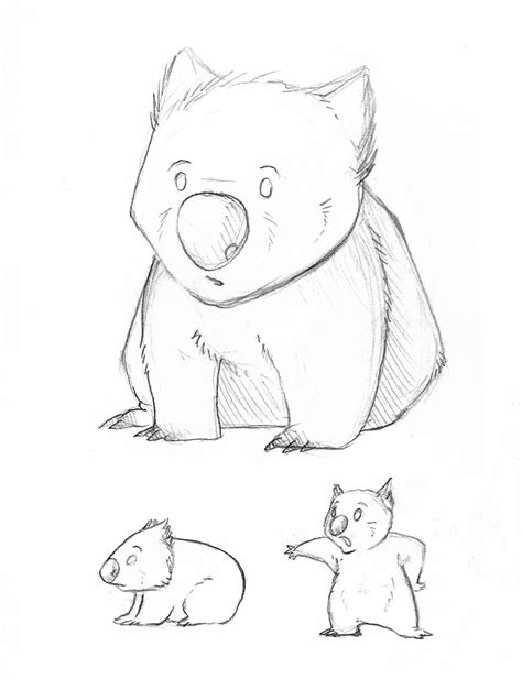 Wombat By Kata On Deviantart