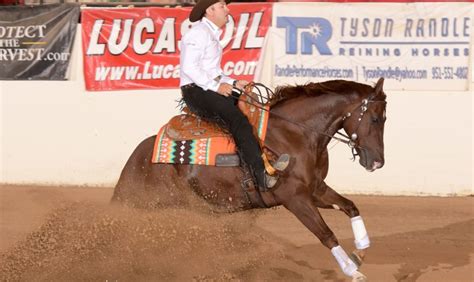 Wild Card Reining Challenge To Provide Seminar For Nrha Show