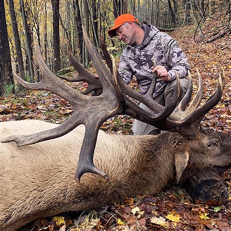 455 Inch Bull Set To Crush The Pennsylvania State Elk Record